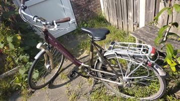 Batavus fiets  beschikbaar voor biedingen