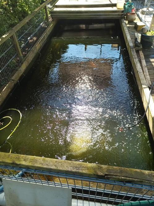 Koi en steur vijver overname, Tuin en Terras, Vijver-toebehoren, Gebruikt, Vijverfilter, Ophalen