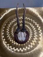 Geweitje op houten schild, Overige materialen, Gebruikt, Bruin, Ophalen of Verzenden