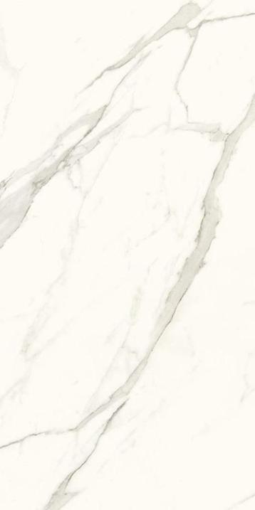 VLOERTEGELS CALACATTA GOLD MAT 60x120 cm AANBIEDING beschikbaar voor biedingen