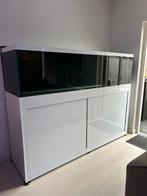 Custom zee aquarium 200x55x55cm, Dieren en Toebehoren, Vissen | Aquaria en Toebehoren, Ophalen, Zo goed als nieuw, Leeg aquarium