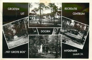 (388-395-017) Doorn Het Grote Bos beschikbaar voor biedingen