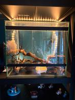 Terrarium, Dieren en Toebehoren, Ophalen, Zo goed als nieuw, Overige typen