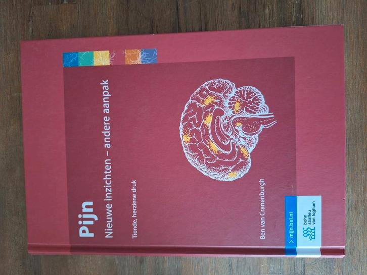 Studieboek Pijn- nieuwe inzichten-andere aanpak, Boeken, Studieboeken en Cursussen, Zo goed als nieuw, HBO, Ophalen of Verzenden