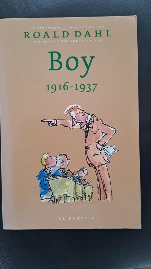 Roald Dahl - Boy 1916-1937, Roald Dahl, Fictie algemeen, Ophalen of Verzenden, Zo goed als nieuw