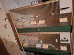 te koop twee Kunststof broedkooi van Heesakkers €40 perstuk, Dieren en Toebehoren, Vogels | Hokken en Kooien, Ophalen, Zo goed als nieuw