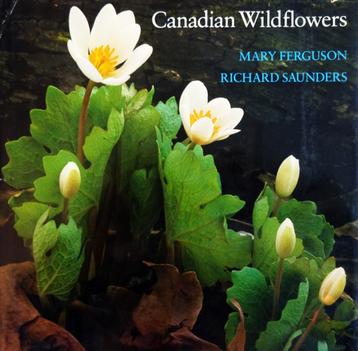 Canadian Wildflowers beschikbaar voor biedingen