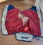 Bucas Power Turnout  Big Neck deken maat 6.3 191, Dieren en Toebehoren, Ophalen of Verzenden