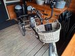 Pfautec comfort driewieler, Fietsen en Brommers, Ophalen, Gebruikt, Verstelbare zitting