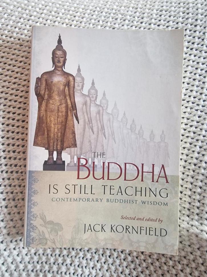 Jack Kornfield - The Buddha Is Still Teaching, Boeken, Overige Boeken, Zo goed als nieuw, Ophalen of Verzenden