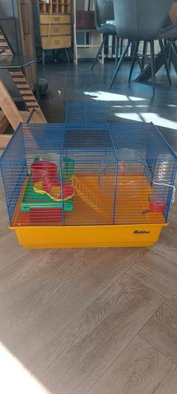 Hamsterkooi met accessoires / spullen  beschikbaar voor biedingen