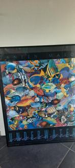 Kleurrijk poster met tropische vissen van janeen mason, Foto of Poster, Ophalen of Verzenden, Zo goed als nieuw, 50 tot 75 cm