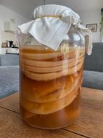 Kombucha scoby, Diversen, Ophalen