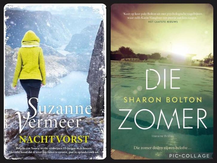 Sharon Bolton - die zomer. Suzanne Vermeer - Nachtvorst., Boeken, Thrillers, Zo goed als nieuw, Nederland, Ophalen of Verzenden