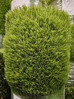 Coupon nieuw kunstgras 40mm 1.85 x 3.00 (5.5m2) voor €50,-, Tuin en Terras, Gras en Kunstgras, Ophalen of Verzenden, Nieuw, 20 m² of meer