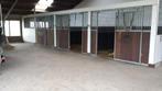 Kleinschalige pensionstalling in de Vinkenbuurt, Dieren en Toebehoren, Stalling en Weidegang, Stalling, 2 of 3 paarden of pony's
