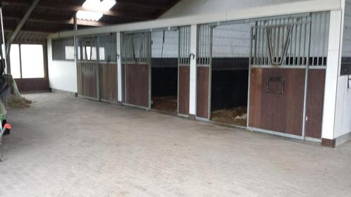 Kleinschalige pensionstalling in de Vinkenbuurt, Dieren en Toebehoren, Stalling en Weidegang, Stalling, 2 of 3 paarden of pony's