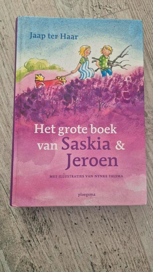 Jaap ter Haar - Het grote boek van Saskia en Jeroen, Boeken, Kinderboeken | Jeugd | onder 10 jaar, Zo goed als nieuw, Ophalen of Verzenden