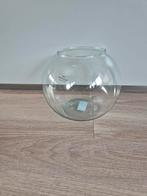 Grote glazen kom vaas plantenlab

Ongeveer 25 cm, Overige kleuren, Nieuw, Ophalen of Verzenden, Glas