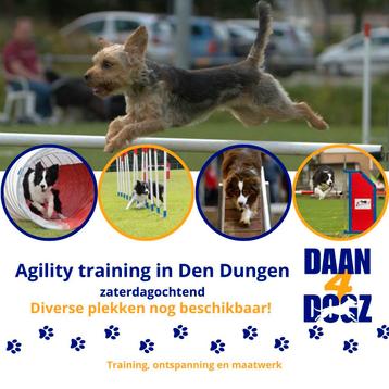 Agility training in Den Dungen beschikbaar voor biedingen