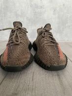 Adidas yeezy maat 37 1/3, Ophalen, Nieuw