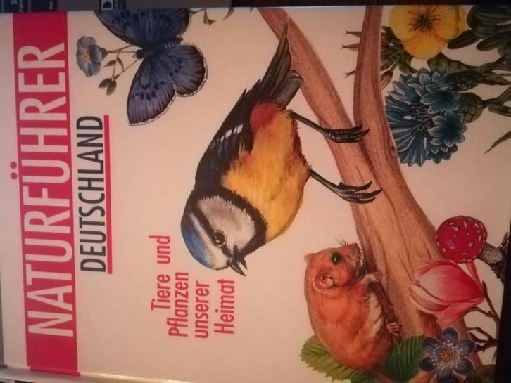 Bomen & struiken in Nederland + Vogels-rondom ons huis, Boeken, Natuur, Zo goed als nieuw, Vogels, Ophalen of Verzenden