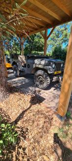 Nekaf m38a1 4x4 met 1/4 tons aanhanger, Bedrijf, Te koop
