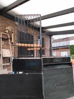 11 kleine houten TT kooien ( koepelkooien ), Dieren en Toebehoren, Vogels | Hokken en Kooien, Ophalen, Gebruikt, Hout, Vogelkooi
