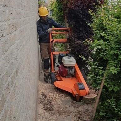 Boom verwijderen en of stronk verwijderen met stobbenfrees, Diensten en Vakmensen, Tuinmannen en Stratenmakers, Tuinonderhoud of Snoeiwerk