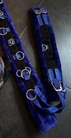 Mini shet/shetlander verschillende spullen, Dieren en Toebehoren, Ophalen of Verzenden, Zo goed als nieuw, Overige soorten