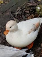 Koppel kwakers, Dieren en Toebehoren, Pluimvee, Meerdere dieren, Eend