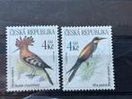 Vogel, Tsjechië 1999, Ophalen of Verzenden, Postfris, Dier of Natuur