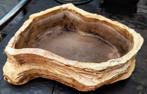 Grote Dragon waterbak voor terrarium, Dieren en Toebehoren, Reptielen en Amfibieën | Toebehoren, Ophalen, Gebruikt, Terrarium of Paludarium