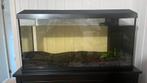 Aquarium juwel set primo 81x36x43,5 cm, Ophalen, Zo goed als nieuw, Gevuld zoetwateraquarium