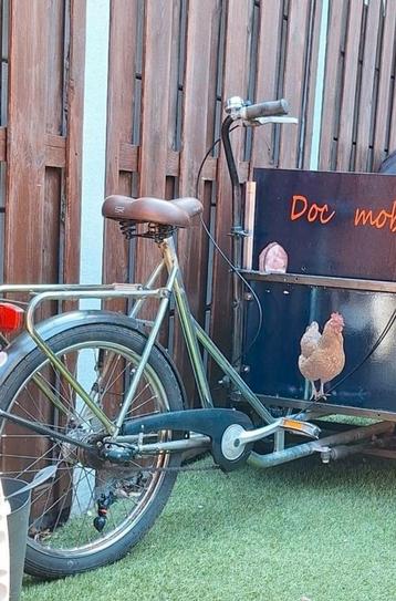 Bakfiets met nieuwe bak beschikbaar voor biedingen