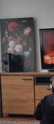 De Heem van Jan Davidsz, Huis en Inrichting, Kasten | Dressoirs, Gebruikt, 50 tot 100 cm, 50 tot 75 cm, Ophalen