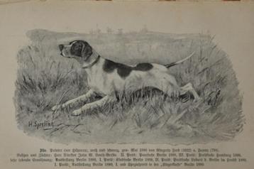 Der Jagdhund honden jachthonden Frans Krichler o.a. fok 1894