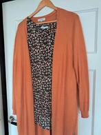 Zhenzi vest met bijpassende blouse, Zhenzi, Maat 42/44 (L), Oranje, Ophalen of Verzenden