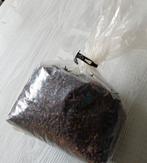 Ruim 600 gram Zanzibar kruidnagelen + opbergtrommel, Ophalen of Verzenden