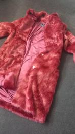 Jas, Kleding | Dames, Ophalen of Verzenden, Zo goed als nieuw