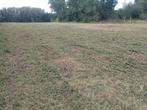 Ruim 1,6 hectare voor tijdelijke beweiding, Dieren en Toebehoren, Stalling en Weidegang, Weidegang, 2 of 3 paarden of pony's