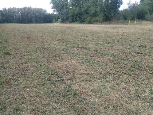Ruim 1,6 hectare voor tijdelijke beweiding, Dieren en Toebehoren, Stalling en Weidegang, Weidegang, 2 of 3 paarden of pony's