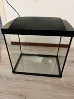 2x Aquarium of kweekbak, Dieren en Toebehoren, Vissen | Aquaria en Toebehoren, Ophalen of Verzenden, Zo goed als nieuw, Leeg aquarium