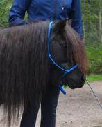 BUSSE fotoshoot touwhalster blauw pony, Dieren en Toebehoren, Ophalen of Verzenden, Zo goed als nieuw, Overige soorten