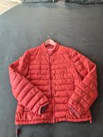 Peuterey tussenjas, Ophalen of Verzenden, Gedragen, Peuterey, Maat 48/50 (M)