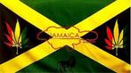 Jamaica Reggae Vlag, Diversen, Vlaggen en Wimpels, Ophalen of Verzenden, Nieuw