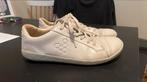 Vivo barefoot maat 41, Ophalen, Overige kleuren, Sneakers of Gympen, Gedragen