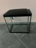 Aquarium Superfish start 20 goldfish/tropical kit, Dieren en Toebehoren, Ophalen, Zo goed als nieuw, Leeg aquarium