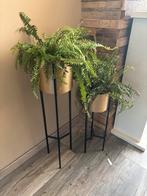 Plantenstandaards - Set van 2, Tuin en Terras, Bloempotten, Ophalen, Rond, Binnen, Zo goed als nieuw