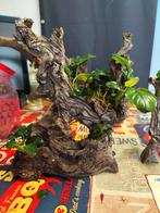 Kienhout met Anubias. Aquarium hout met planten, Dieren en Toebehoren, Vissen | Aquaria en Toebehoren, Ophalen of Verzenden, Zo goed als nieuw